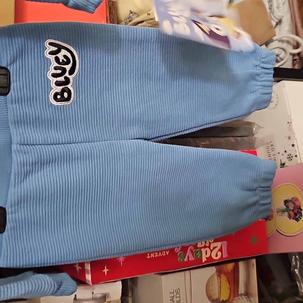 Nqt Bluey Blue Toddler Sweatshirt and Pants Set - Picture 3 of 4